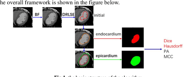 Figure 1 for Cardiac CT segmentation based on distance regularized level set