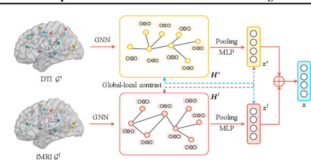 Figure 1 for Joint Embedding of Structural and Functional Brain Networks with Graph Neural Networks for Mental Illness Diagnosis