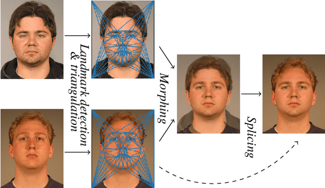 Figure 1 for A Face Recognition System's Worst Morph Nightmare, Theoretically