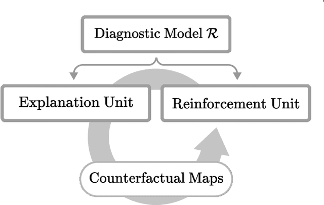 Figure 1 for Learn-Explain-Reinforce: Counterfactual Reasoning and Its Guidance to Reinforce an Alzheimer's Disease Diagnosis Model