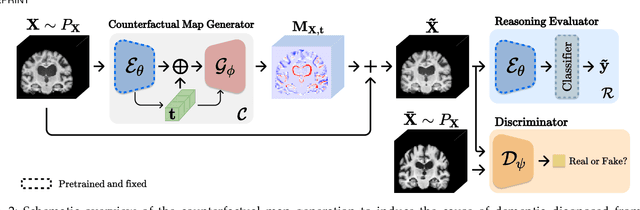 Figure 3 for Learn-Explain-Reinforce: Counterfactual Reasoning and Its Guidance to Reinforce an Alzheimer's Disease Diagnosis Model