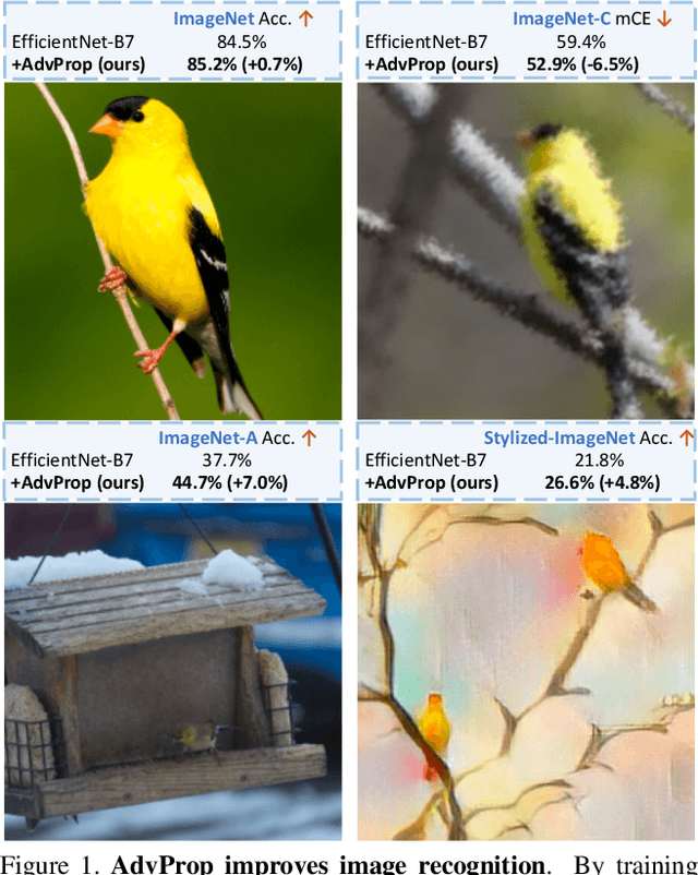 Figure 1 for Adversarial Examples Improve Image Recognition