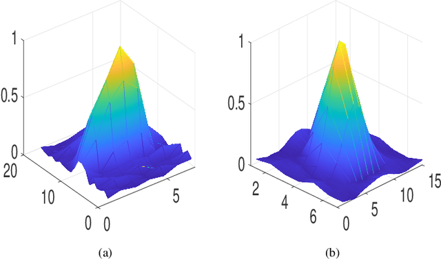 Figure 4 for Joint Blind Deconvolution and Robust Principal Component Analysis for Blood Flow Estimation in Medical Ultrasound Imaging