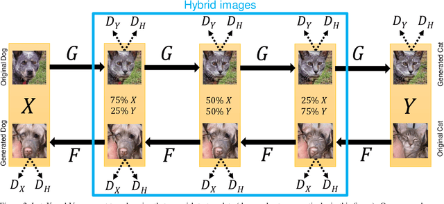 Figure 2 for GANHopper: Multi-Hop GAN for Unsupervised Image-to-Image Translation