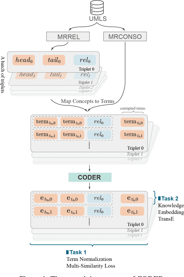 Figure 1 for CODER: Knowledge infused cross-lingual medical term embedding for term normalization