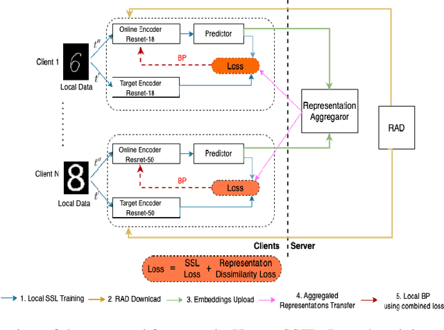 Figure 1 for Federated Self-supervised Learning for Heterogeneous Clients