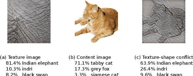 Figure 1 for Increasing Shape Bias in ImageNet-Trained Networks Using Transfer Learning and Domain-Adversarial Methods