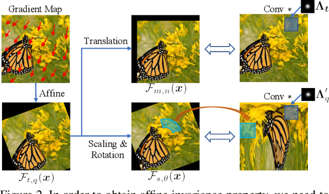 Figure 3 for Improving Robustness of Adversarial Attacks Using an Affine-Invariant Gradient Estimator