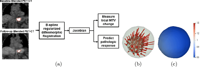 Figure 1 for Quantification of Local Metabolic Tumor Volume Changes by Registering Blended PET-CT Images for Prediction of Pathologic Tumor Response