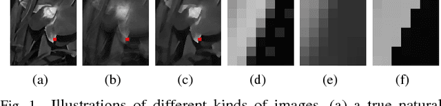 Figure 1 for Graph-Based Blind Image Deblurring From a Single Photograph