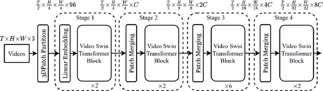 Figure 1 for Transfer-learning for video classification: Video Swin Transformer on multiple domains
