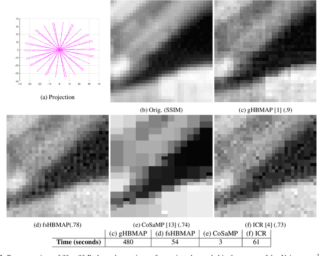 Figure 4 for Fast Stochastic Hierarchical Bayesian MAP for Tomographic Imaging