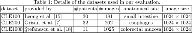 Figure 2 for Image Super Resolution via Bilinear Pooling: Application to Confocal Endomicroscopy