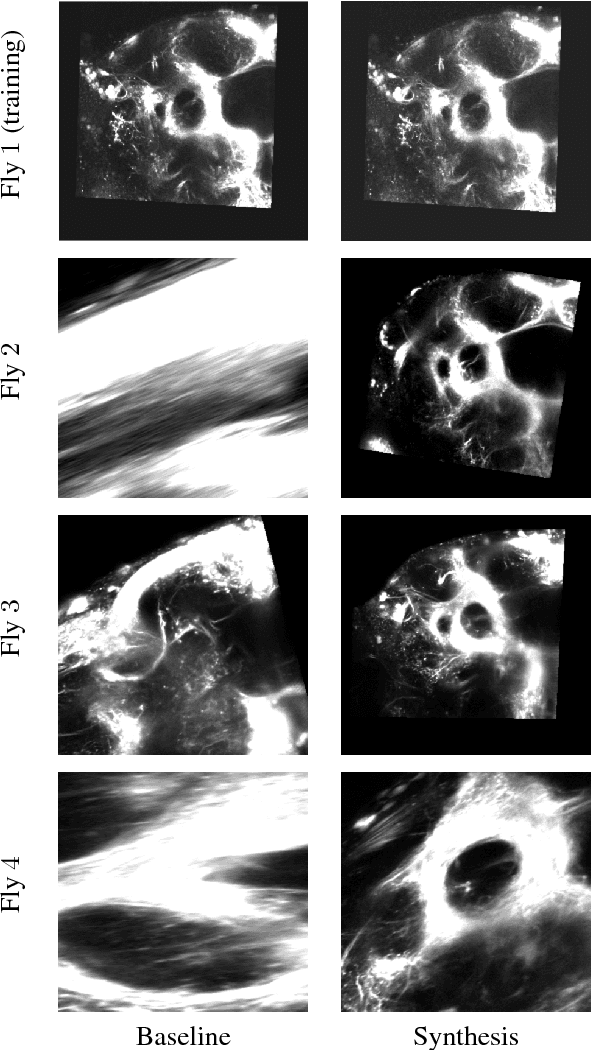 Figure 2 for Robust Registration of Calcium Images by Learned Contrast Synthesis