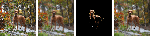 Figure 3 for Heat and Blur: An Effective and Fast Defense Against Adversarial Examples