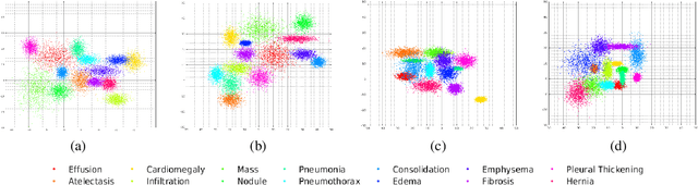 Figure 3 for Generalized Zero Shot Learning For Medical Image Classification