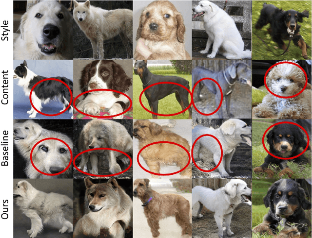 Figure 4 for COCO-FUNIT: Few-Shot Unsupervised Image Translation with a Content Conditioned Style Encoder