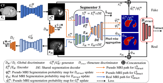 Figure 4 for PSIGAN: Joint probabilistic segmentation and image distribution matching for unpaired cross-modality adaptation based MRI segmentation
