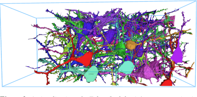 Figure 2 for VICE: Visual Identification and Correction of Neural Circuit Errors