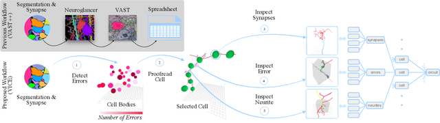 Figure 4 for VICE: Visual Identification and Correction of Neural Circuit Errors