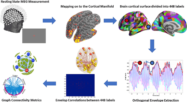 Figure 1 for Maturation Trajectories of Cortical Resting-State Networks Depend on the Mediating Frequency Band