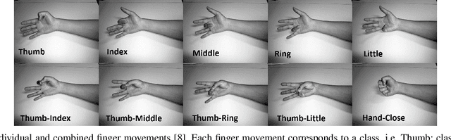 Figure 3 for EMG-Based Feature Extraction and Classification for Prosthetic Hand Control