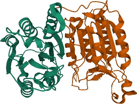 Figure 1 for Geometric Transformers for Protein Interface Contact Prediction