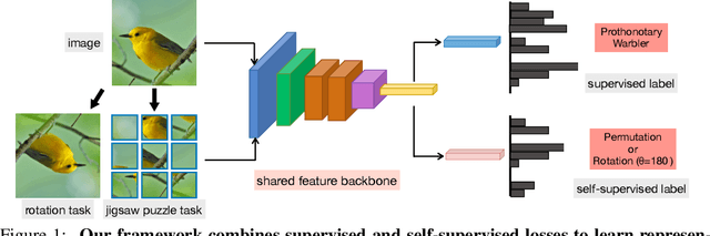 Figure 1 for When Does Self-supervision Improve Few-shot Learning?