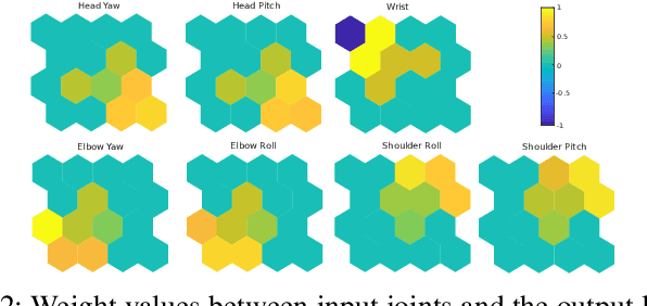 Figure 2 for The homunculus for proprioception: Toward learning the representation of a humanoid robot's joint space using self-organizing maps