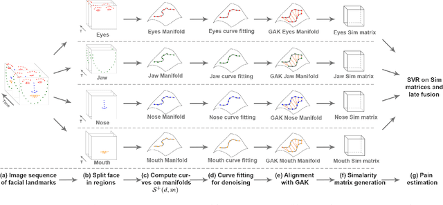 Figure 1 for Automatic Estimation of Self-Reported Pain by Trajectory Analysis in the Manifold of Fixed Rank Positive Semi-Definite Matrices