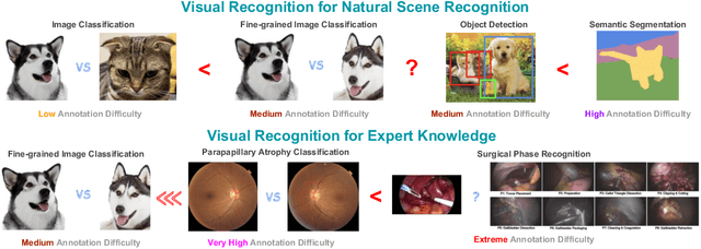 Figure 1 for Rethinking Generalization Performance of Surgical Phase Recognition with Expert-Generated Annotations