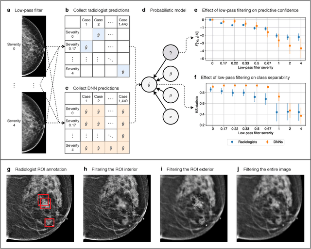 Figure 2 for Differences between human and machine perception in medical diagnosis