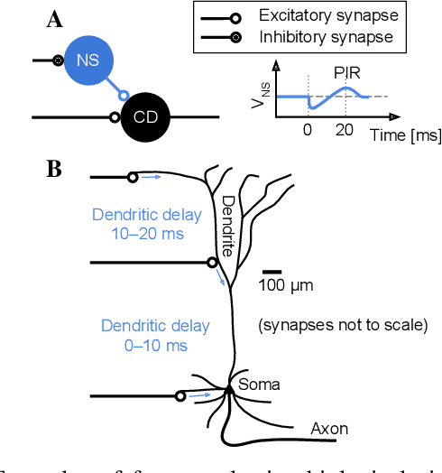 Figure 1 for Synaptic Integration of Spatiotemporal Features with a Dynamic Neuromorphic Processor