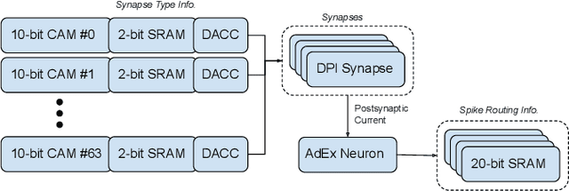 Figure 2 for Synaptic Integration of Spatiotemporal Features with a Dynamic Neuromorphic Processor