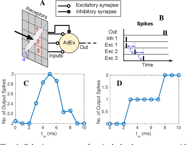 Figure 4 for Synaptic Integration of Spatiotemporal Features with a Dynamic Neuromorphic Processor