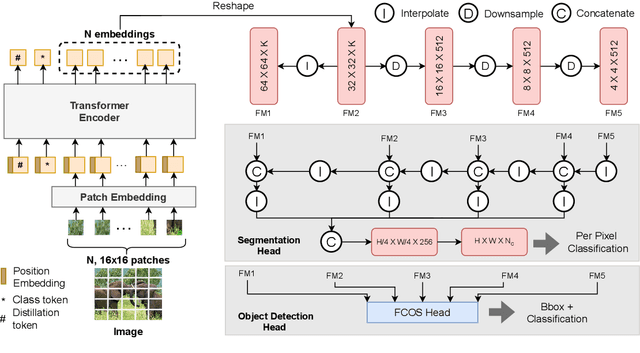 Figure 1 for A Comprehensive Study of Vision Transformers on Dense Prediction Tasks