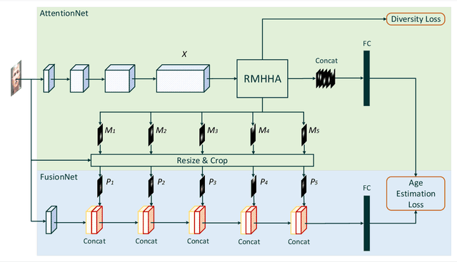 Figure 4 for Improving Face-Based Age Estimation with Attention-Based Dynamic Patch Fusion