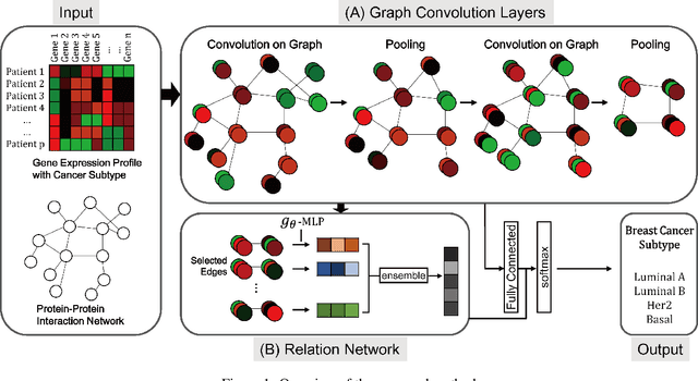 Figure 1 for Hybrid Approach of Relation Network and Localized Graph Convolutional Filtering for Breast Cancer Subtype Classification