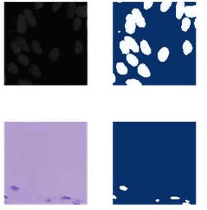 Figure 1 for Identify the cells' nuclei based on the deep learning neural network