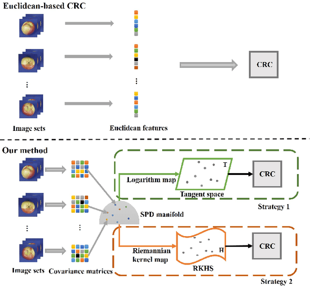 Figure 1 for Collaborative Representation for SPD Matrices with Application to Image-Set Classification