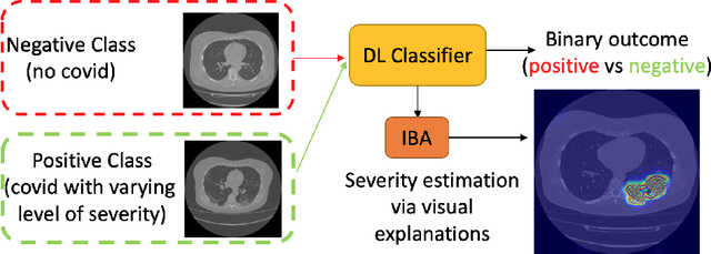 Figure 1 for Information Bottleneck Attribution for Visual Explanations of Diagnosis and Prognosis