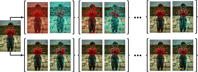 Figure 1 for Superpixel Segmentation using Dynamic and Iterative Spanning Forest