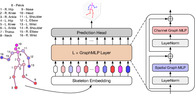 Figure 1 for GraphMLP: A Graph MLP-Like Architecture for 3D Human Pose Estimation