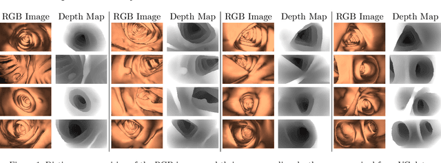 Figure 1 for Depth Reconstruction and Computer-Aided Polyp Detection in Optical Colonoscopy Video Frames