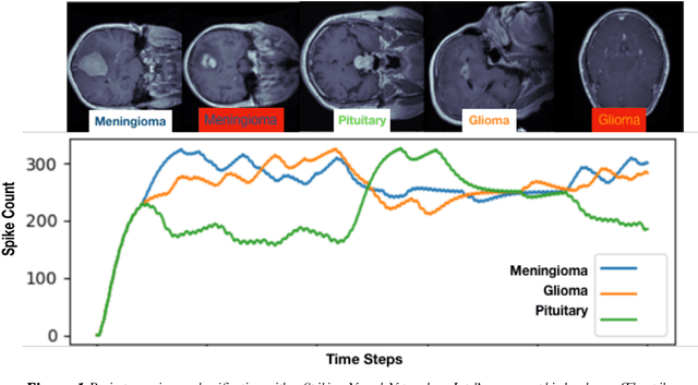 Figure 1 for Deep Medical Image Analysis with Representation Learning and Neuromorphic Computing