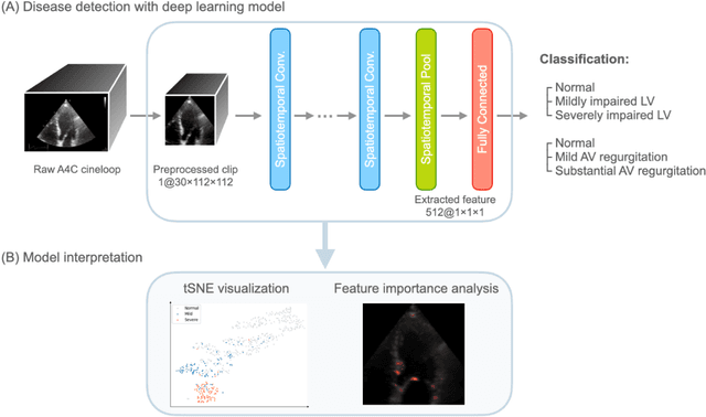 Figure 2 for Revealing unforeseen diagnostic image features with deep learning by detecting cardiovascular diseases from apical four-chamber ultrasounds