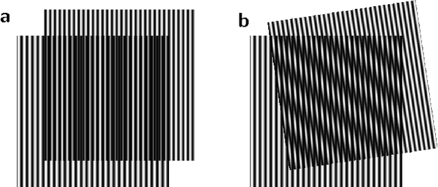 Figure 1 for Structured illumination microscopy image reconstruction algorithm