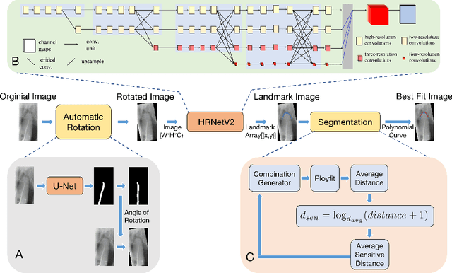 Figure 1 for High-Resolution Segmentation of Tooth Root Fuzzy Edge Based on Polynomial Curve Fitting with Landmark Detection