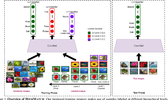 Figure 1 for HIERMATCH: Leveraging Label Hierarchies for Improving Semi-Supervised Learning