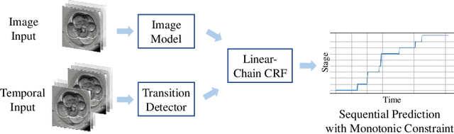 Figure 1 for Developmental Stage Classification of Embryos Using Two-Stream Neural Network with Linear-Chain Conditional Random Field